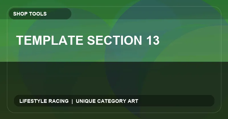 Template Section 13